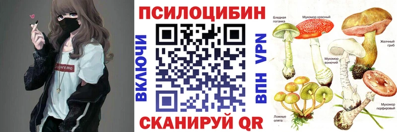 Галлюциногенные грибы Psilocybine cubensis  Суворов 